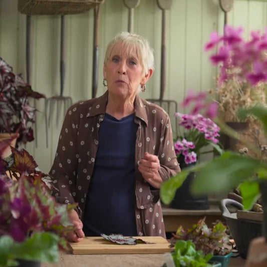 Carol Klein's Cuttings
