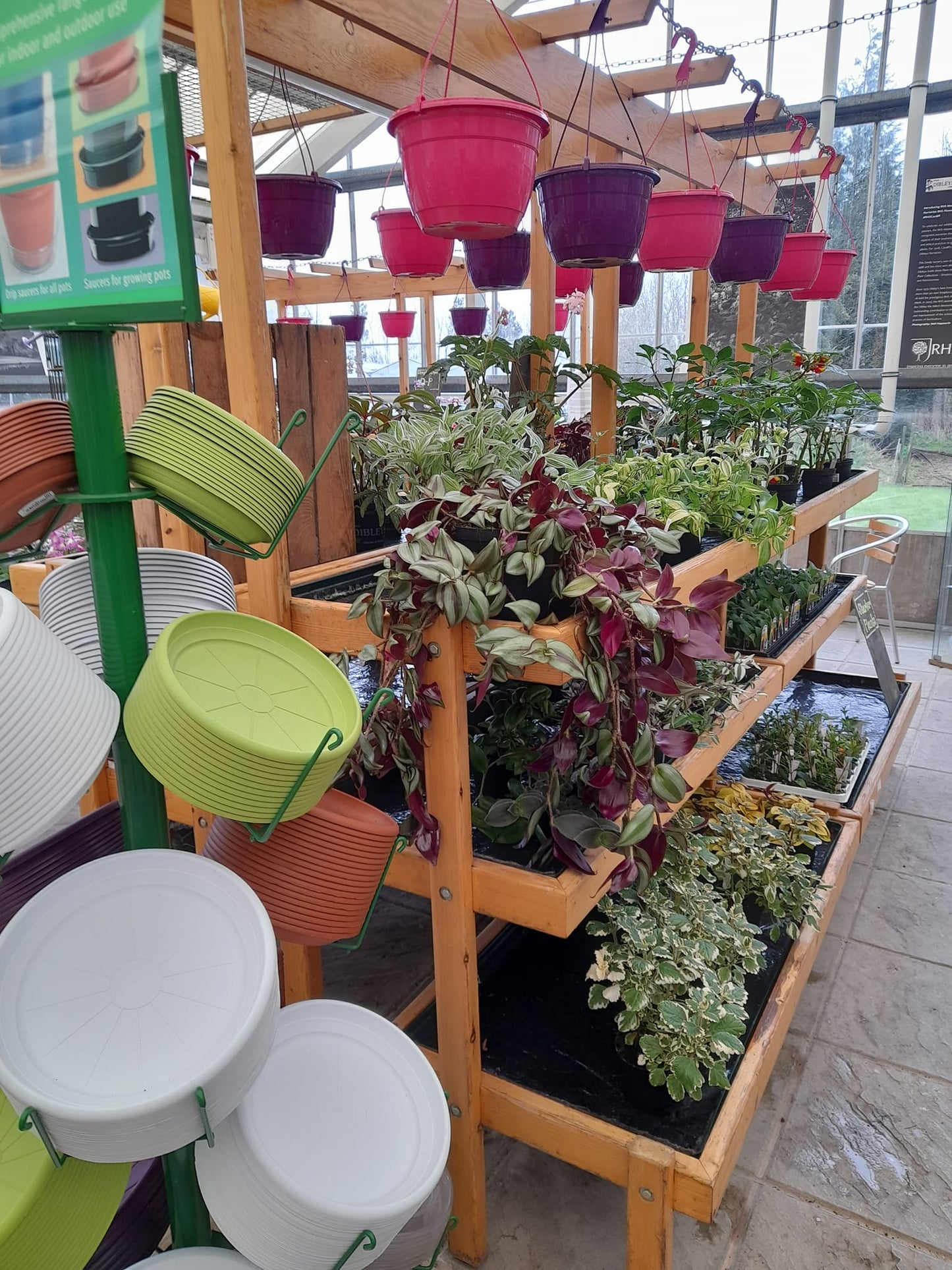 Nursery / Plant Collection 'Behind the Scenes' Guided Tour / Open Day (April)