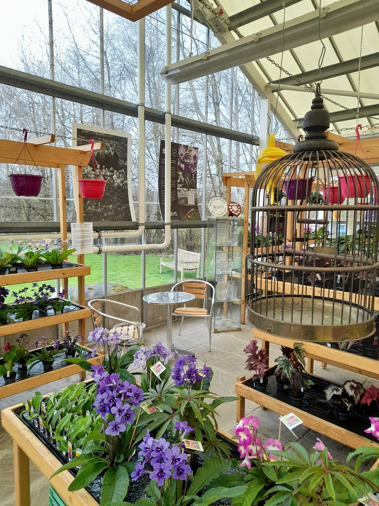 Nursery / Plant Collection 'Behind the Scenes' Guided Tour / Open Day (April)