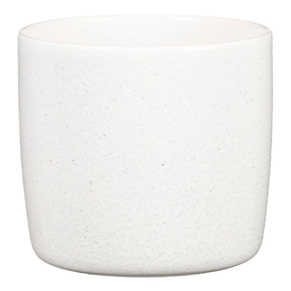 Perla  (suitable for 13cm pots) 900/15