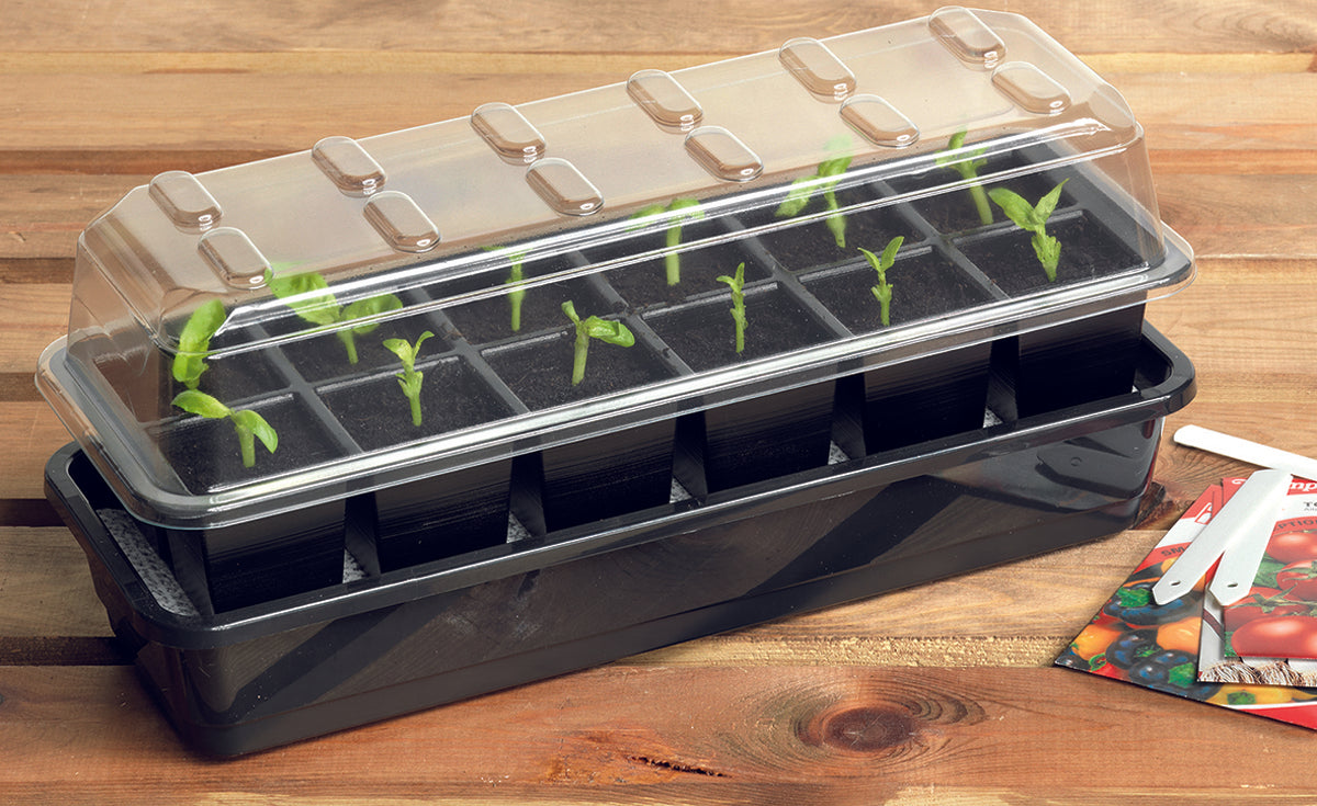 12 Cell Self Watering Seed Success Kit (end of line, clearance, damaged packaging)
