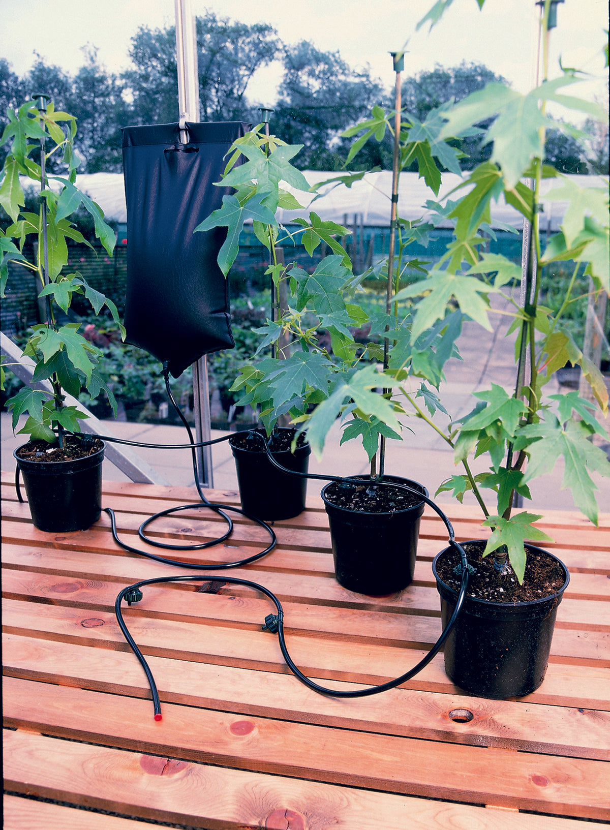 Big Drippa Watering Kit (end of line, clearance, damaged packaging)