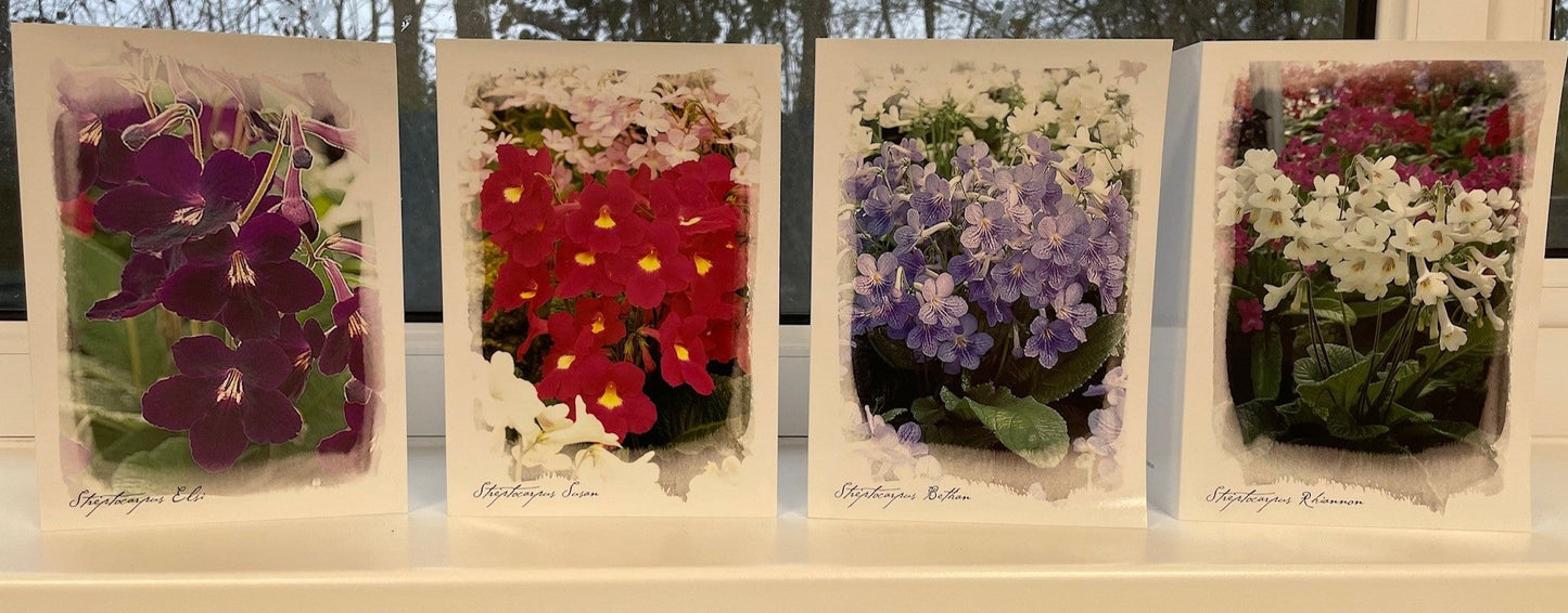 Greeting Cards - Dibleys