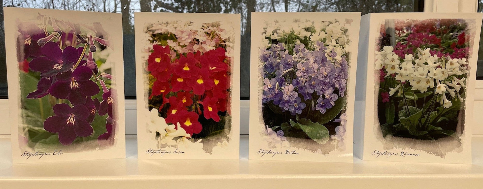 Greeting Cards - Dibleys