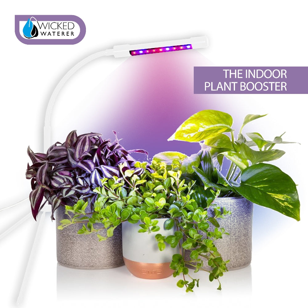 Growlight - Indoor Plant Booster