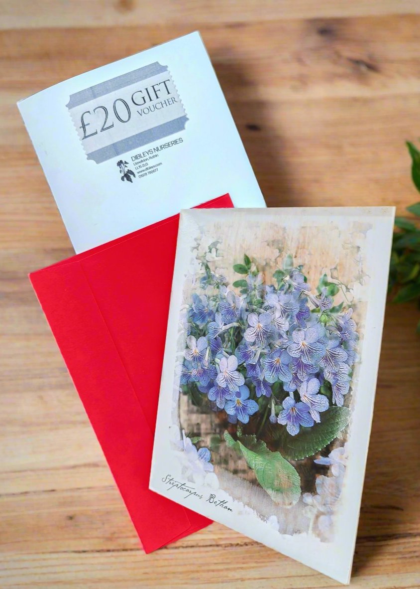 Dibleys Gift Vouchers - Dibleys