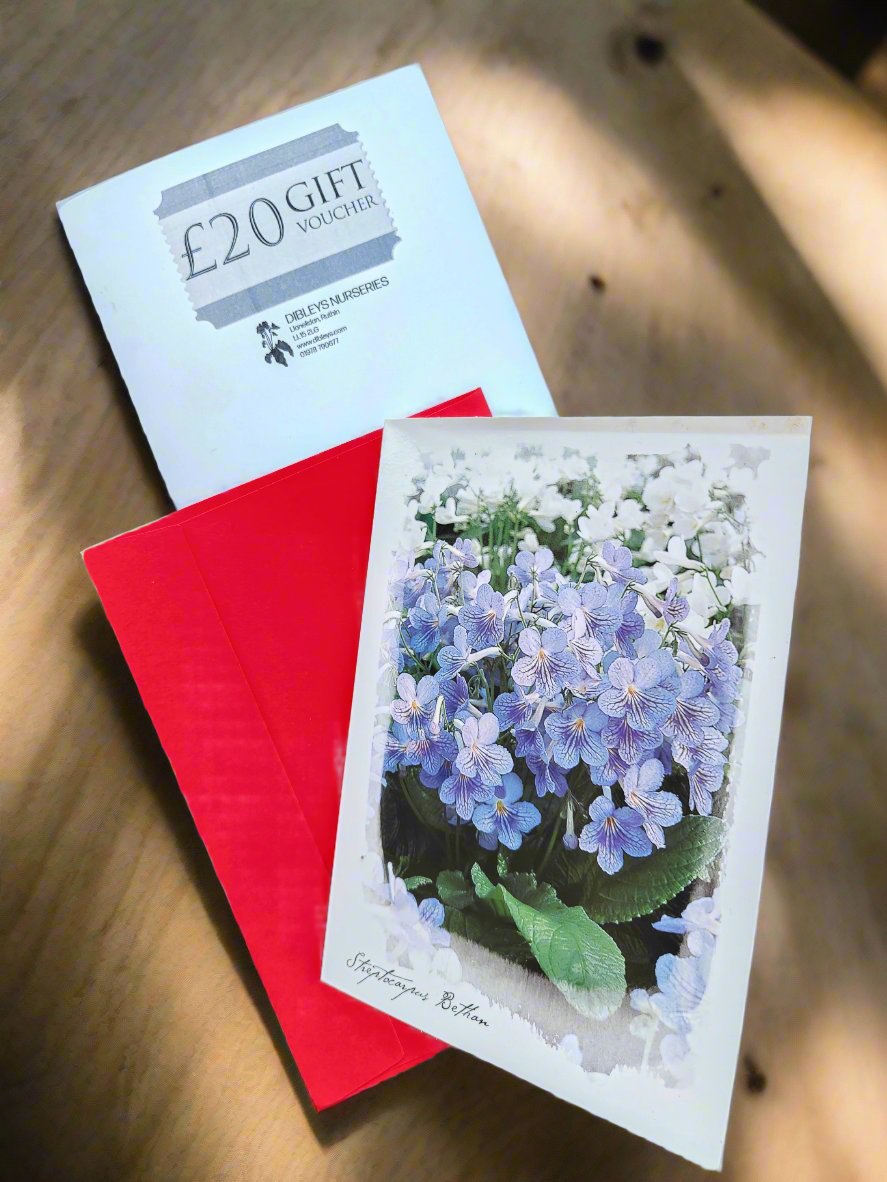 Dibleys Gift Vouchers - Dibleys