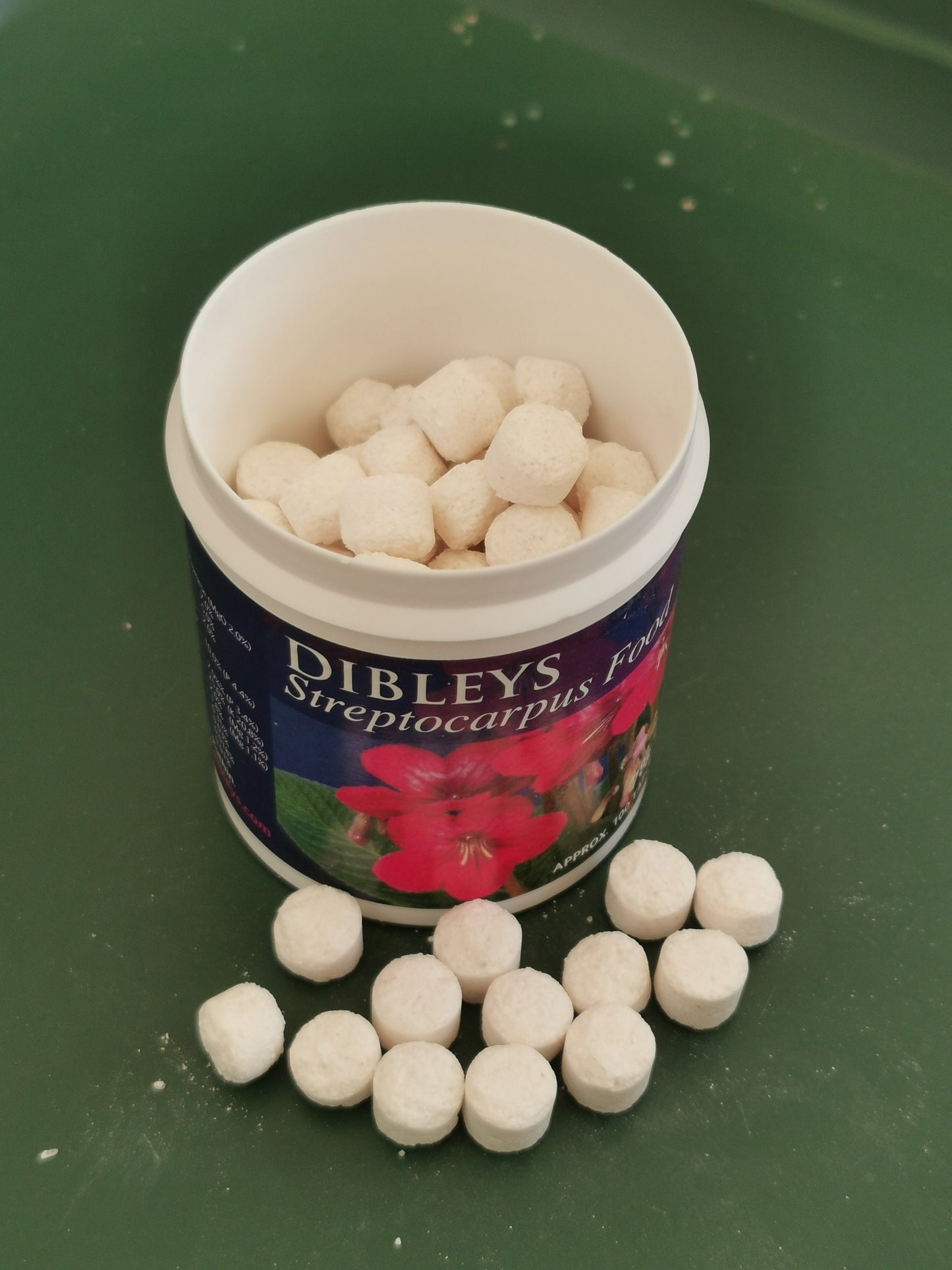 > DIBLEYS F00D TABLETS - Streptocarpus Food Tablets - Dibleys