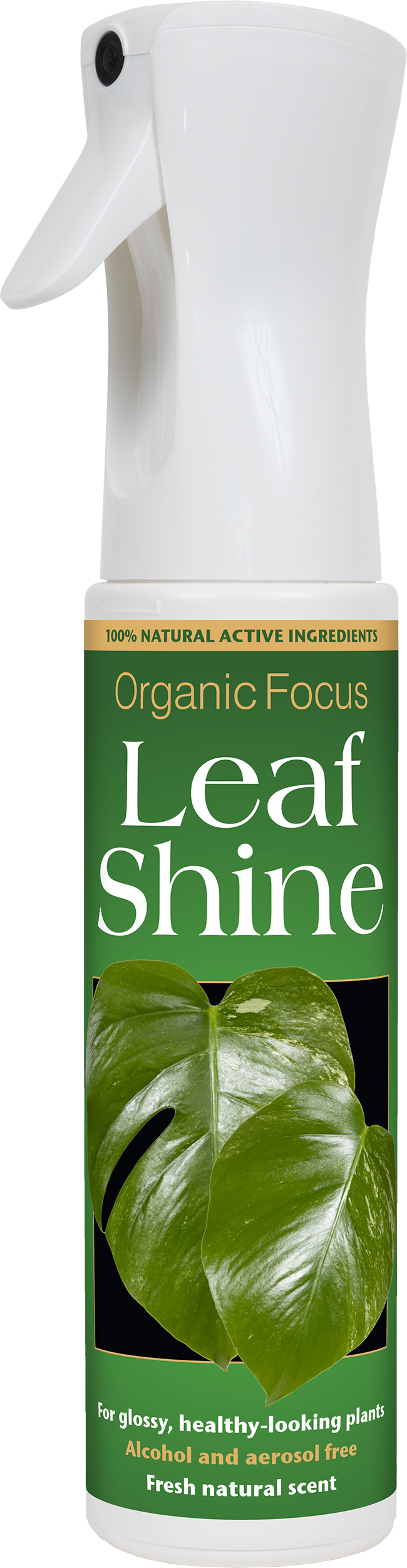 leaf shine spray for indoor plants Organic Focus Leaf Shine – Dibleys
