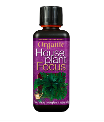 Organic Houseplant Focus