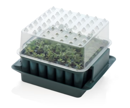 Compact Plug Plant Trainer