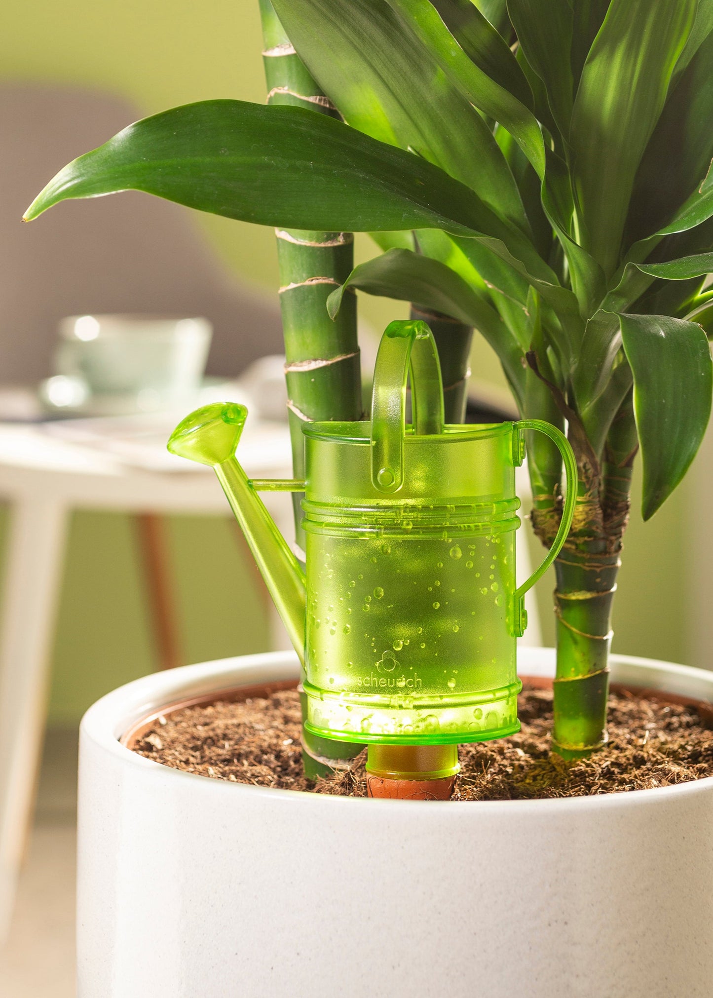 A 'Watering Can' water reserve for houseplants, placed on its packaging which is displayed on a wooden surface. The product is gray in color with a clay cone attached to a plastic frame.