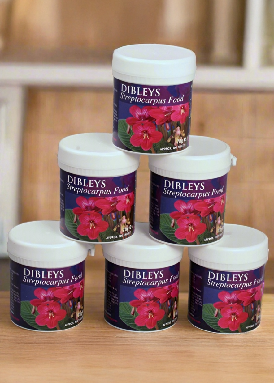 > DIBLEYS F00D TABLETS - Streptocarpus Food Tablets - Dibleys