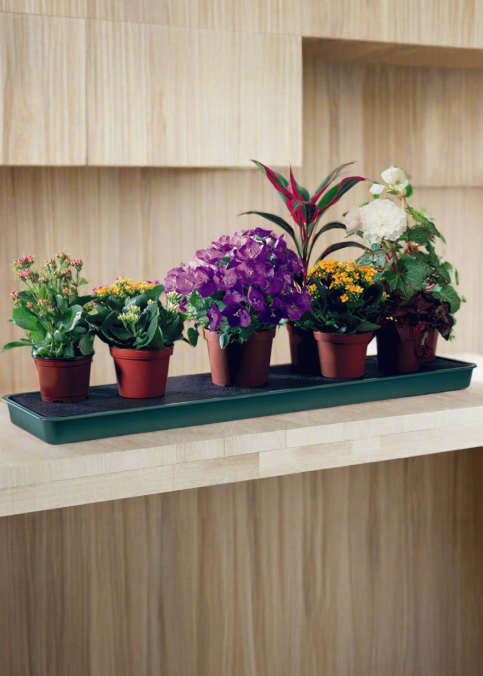 Self-watering Windowsill Plant Tray