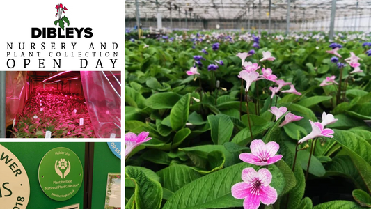 Nursery / Plant Collection 'Behind the Scenes' Guided Tour / Open Day (April)