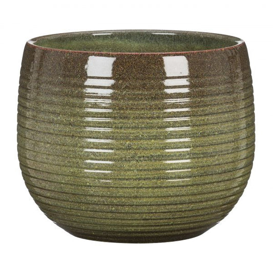 Stylish Ceramic Cache/Cover pots - Wild Jungle - 16cm