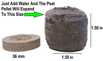 28 Jiffy Plugs - Dibleys