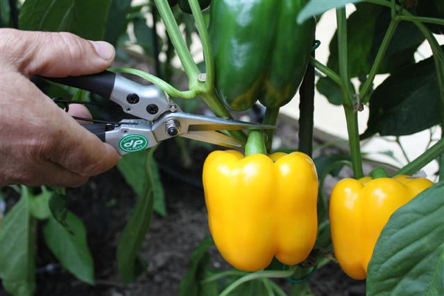 Compact Snips - Dibleys