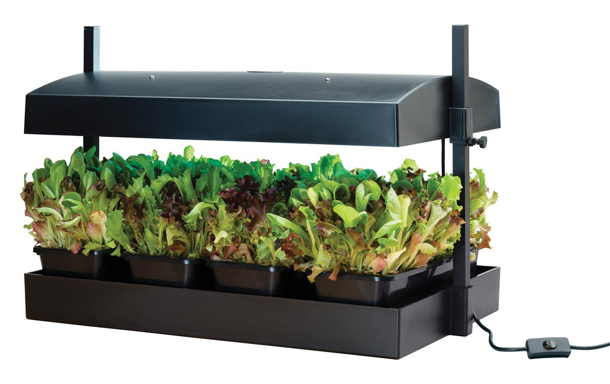 Large LED Grow Light Garden - Black