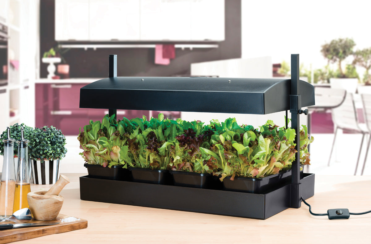 Large LED Grow Light Garden - Black