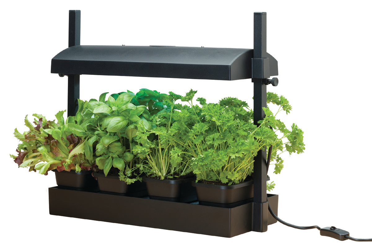 LED Grow Light Garden - Black