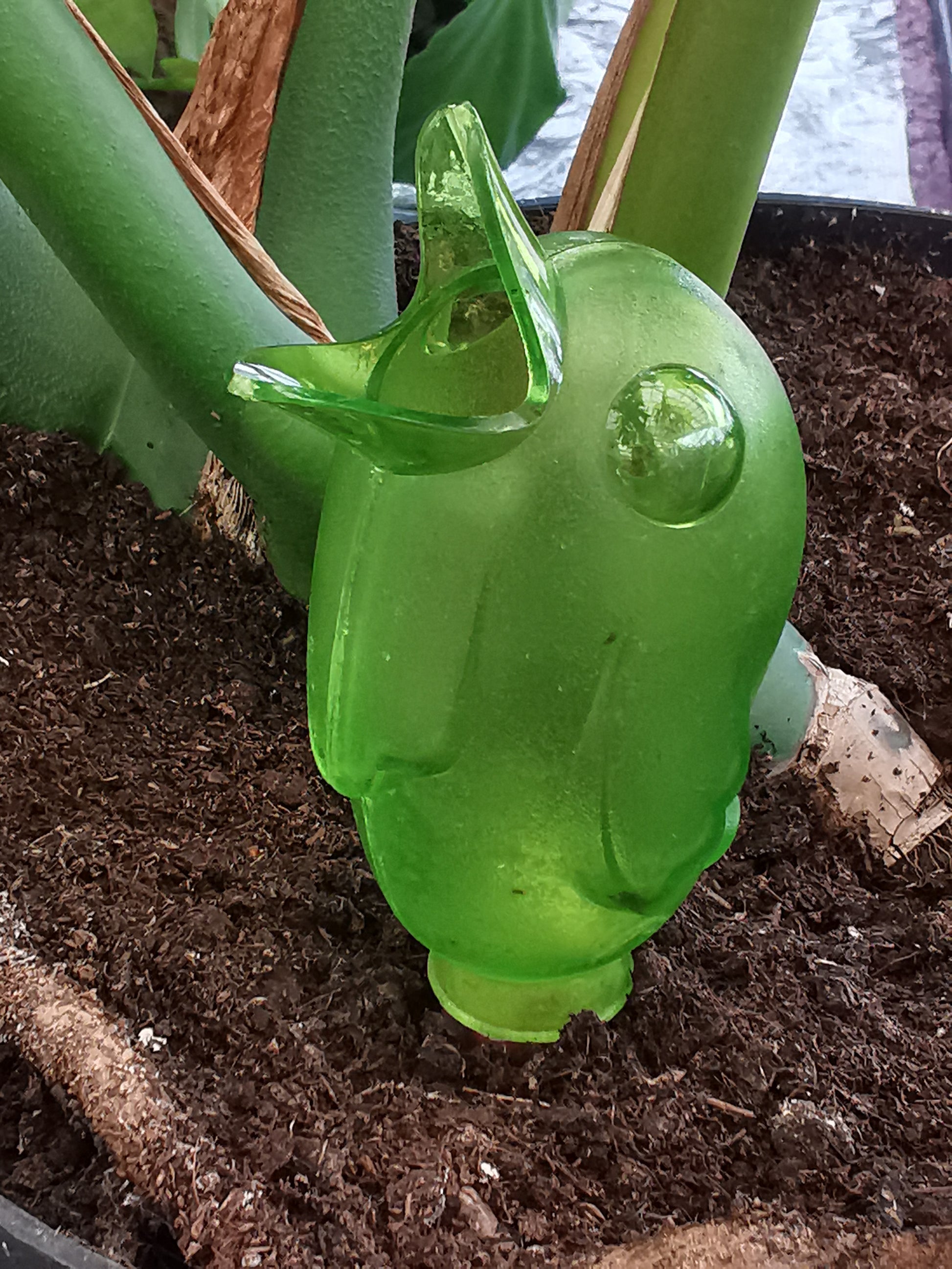 Birdy - Water Reserve - Dibleys