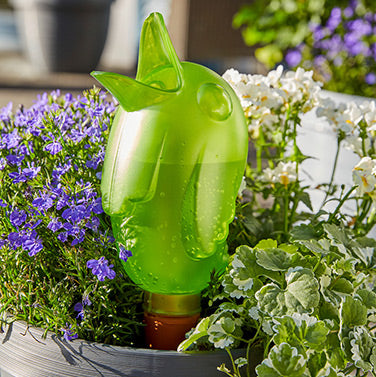 Birdy - Water Reserve