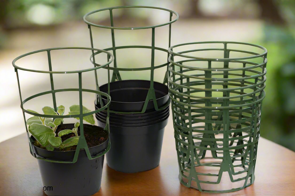 6 pot for plants 6 Plant Supports and 6 Pots, 12cm diameter – Dibleys