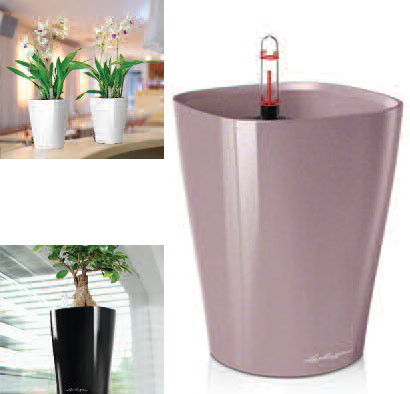 Self-watering Lechuza Medium Deltini - Dibleys