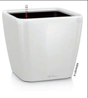 Self-watering Lechuza Large Square Pot - Dibleys