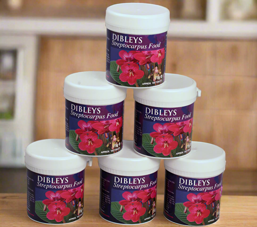 Dibleys Streptocarpus Food Tablets - Dibleys