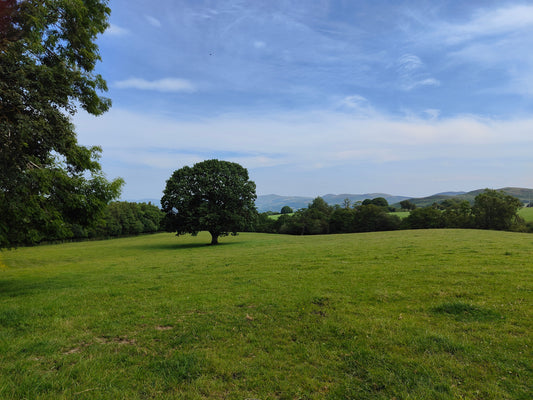 Places to visit near Dibleys Nurseries
