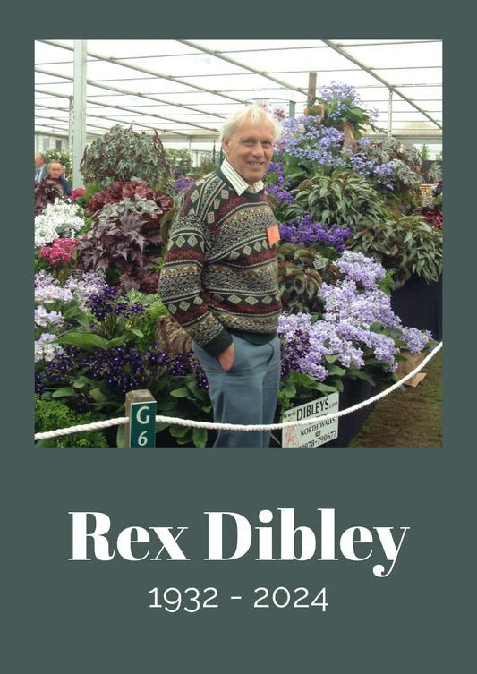 Rex Dibley 1932-2024