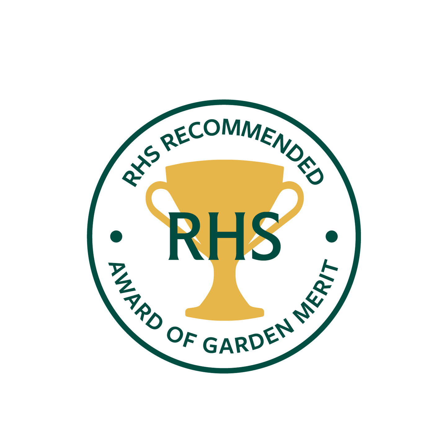 Award of Garden Merit Streptocarpus Collection 🏆 - Dibleys