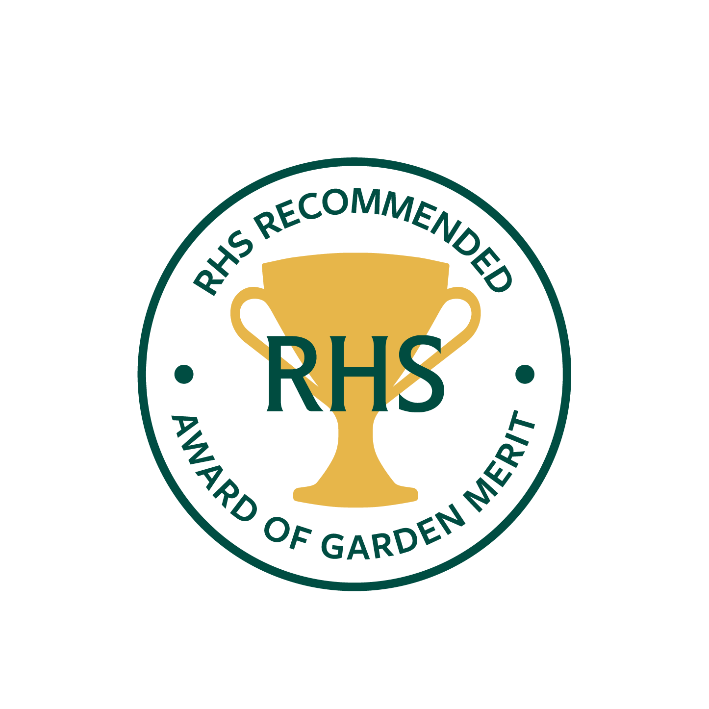 Award of Garden Merit Streptocarpus Collection 🏆 - Dibleys