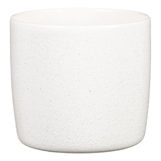 Perla  (suitable for 13cm pots) 900/15