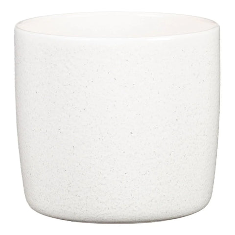 Perla  (suitable for 13cm pots) 900/15