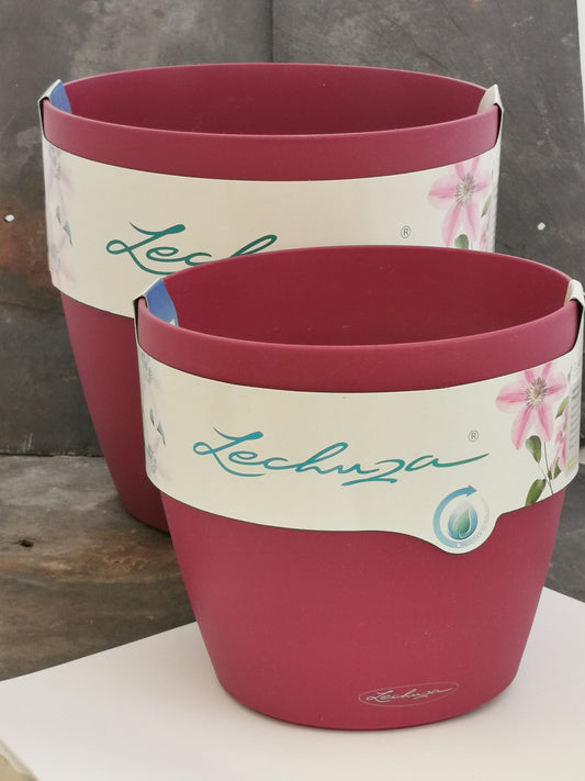 Extra Large Self-watering Lechuza Pots - Classico (dusty/slightly damaged packaging)