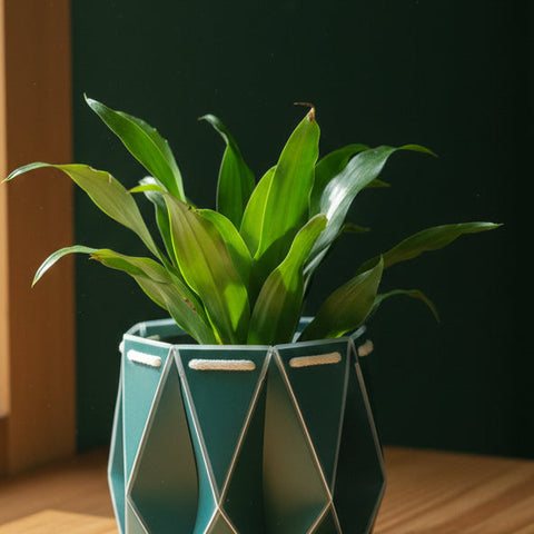 POTR Origami Cover pots - Self watering - 11cm (suitable for 10cm potted plants)  NEW