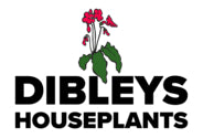 Dibleys