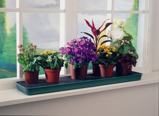 Self-watering Windowsill Plant Tray - Dibleys