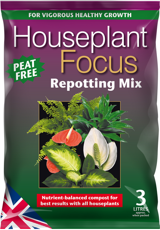 .Compost - 3l Houseplant Focus Repotting Mix - Peat Free