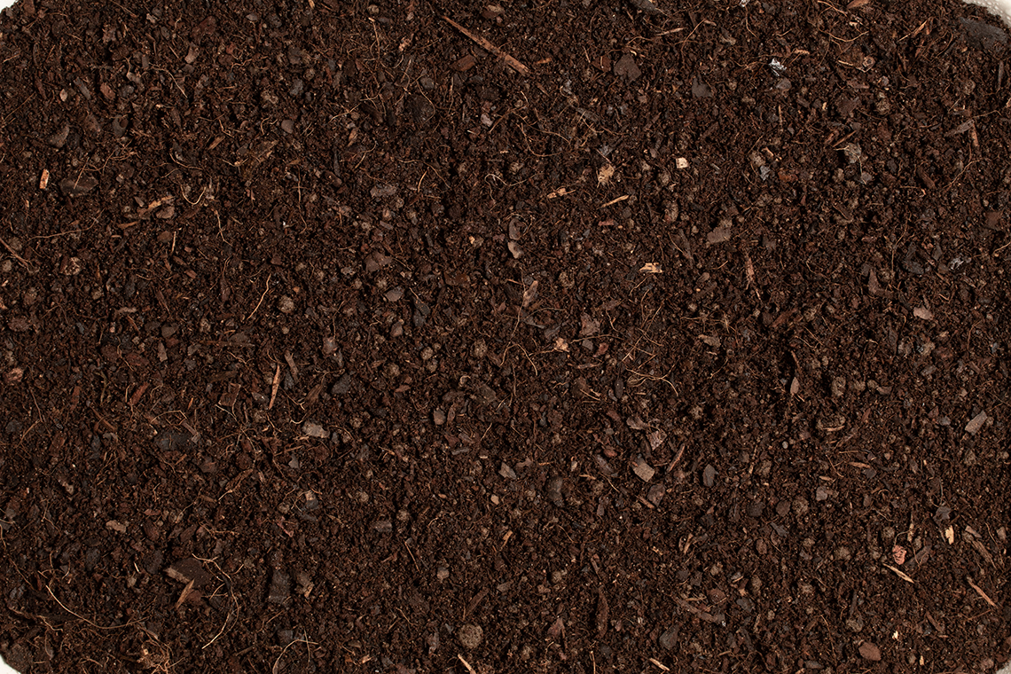 .Compost - Houseplant Focus Repotting Mix - Peat Free