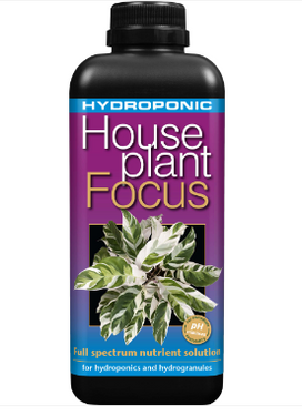 Hydroponic Houseplant Focus