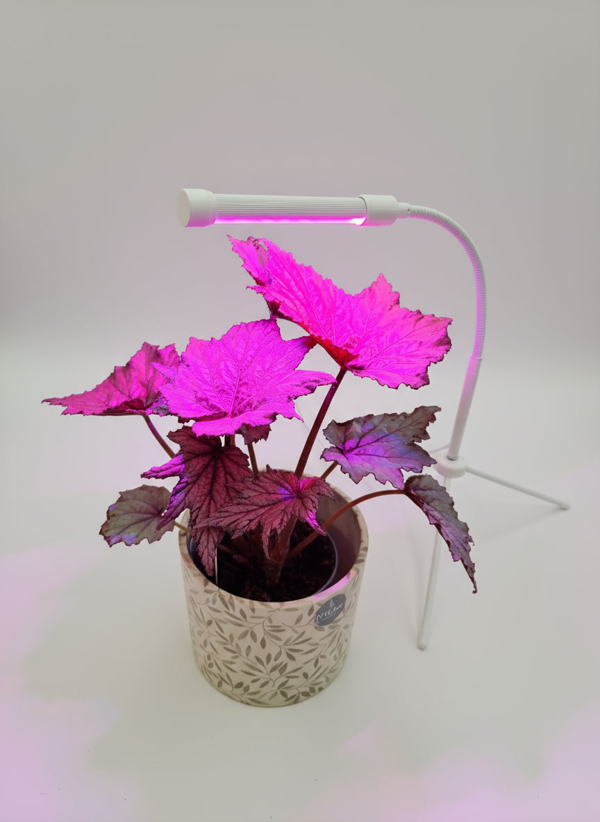 Growlight - Indoor Plant Booster