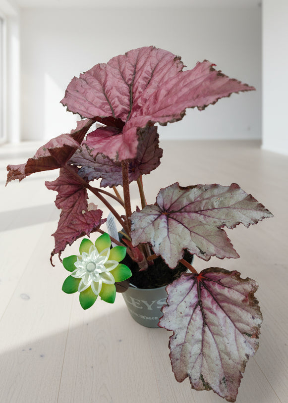 Plant Alarm: Moisture Sensor