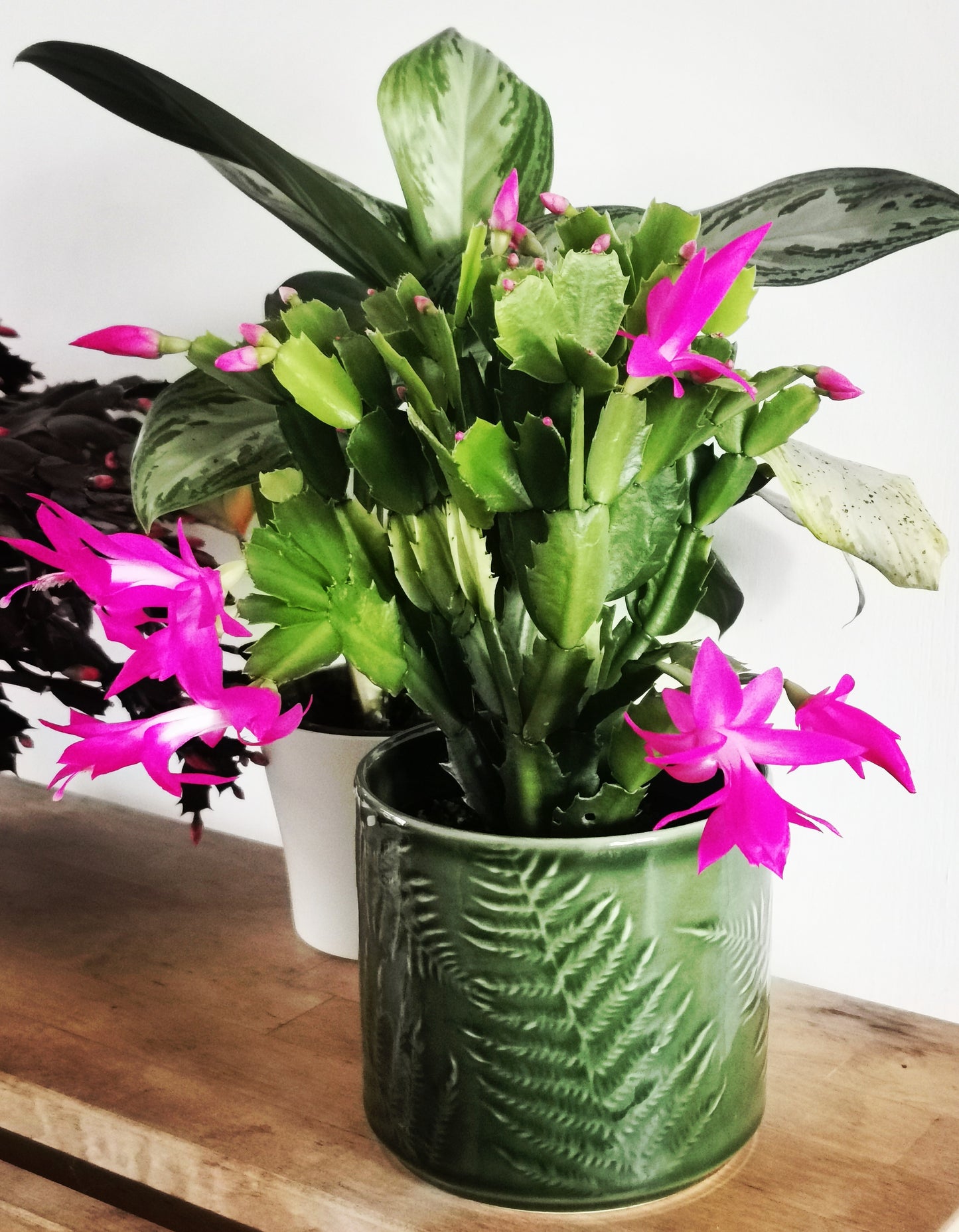 Orla Glazed Fern Green Planter (suitable for 13cm pots) OGFGP15