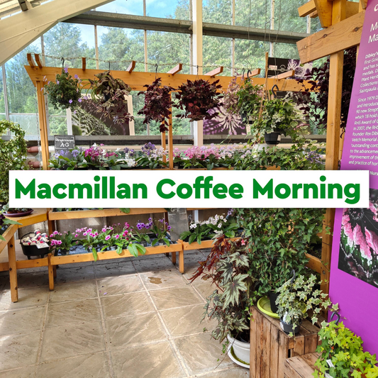 Macmillan Coffee Morning: Garden Open (30 September)