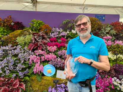 Houseplant Propagation Workshop: Learn How to Propagate Streptocarpus and Begonias (June)