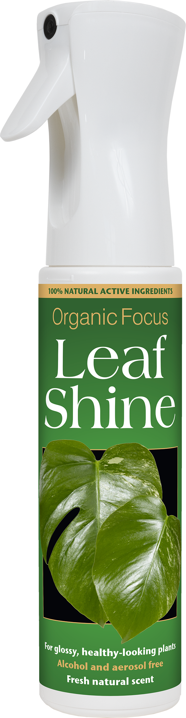 Organic Focus Leaf Shine